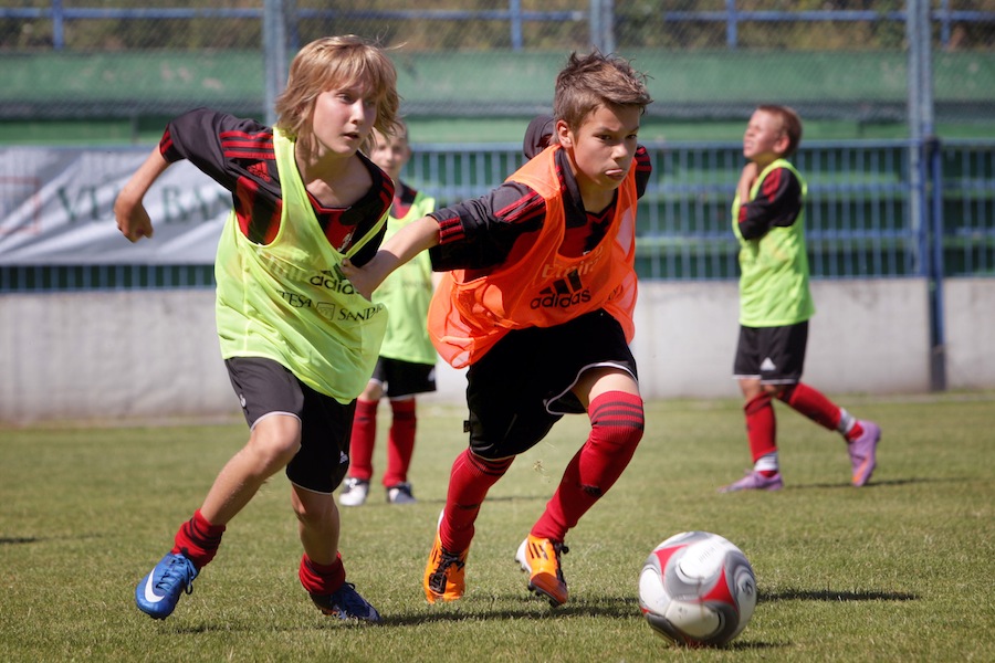 kovaľ martin, referencia vlado zlatoš