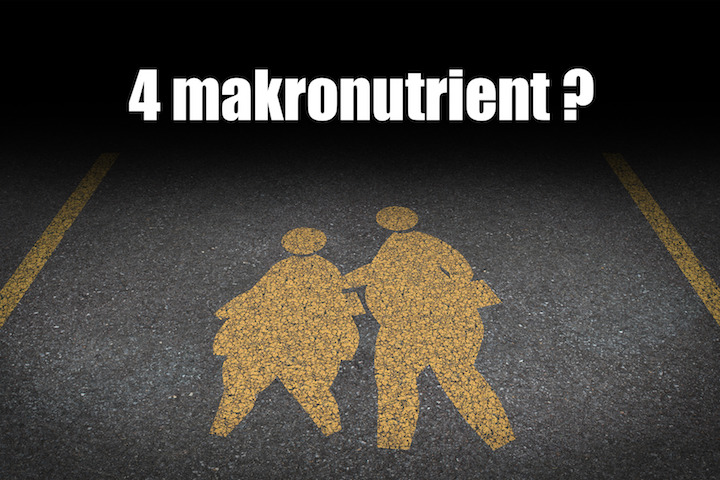 Spoznajte “štvrtý” makronutrient vo výžive človeka